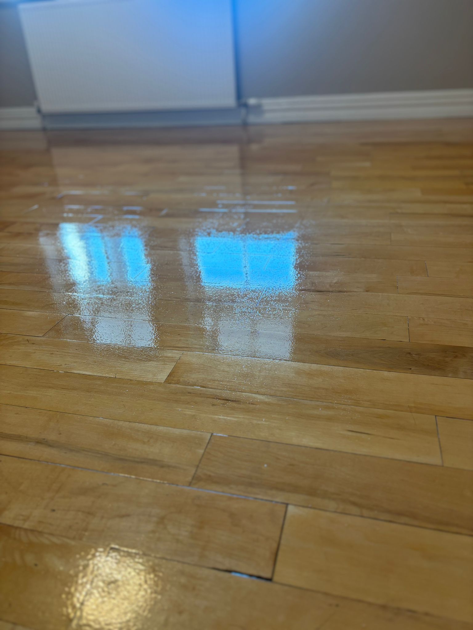 Restore My Floor Wood Tile Floor Restoration Dublin